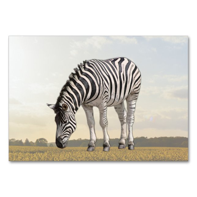 Zebra ABA Tact Labeling Flashcard | Picture Card Tischnummer (Vorderseite)
