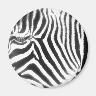 Zebra-abstrakter Magnet