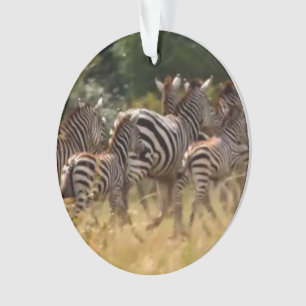 Zebra-Acrylkreisschmuck Ornament
