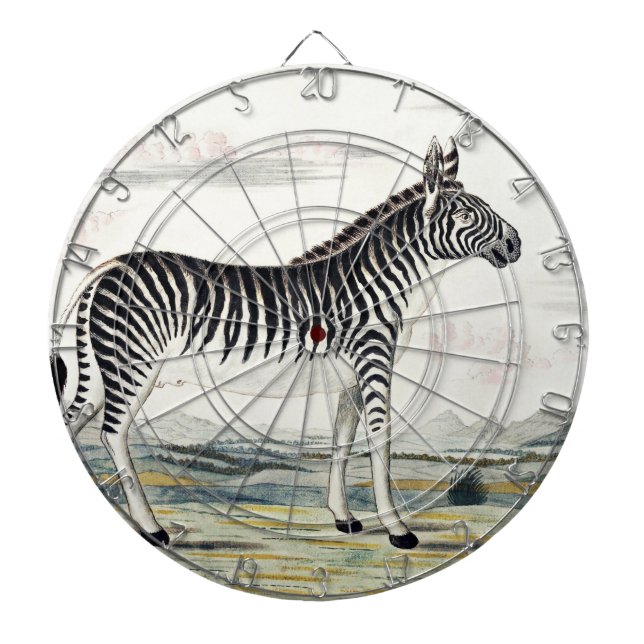 Zebra Africa Stripe Animal Zeichnend Illustration Dartscheibe (vorne)