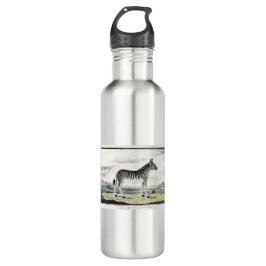 Zebra Africa Stripe Animal Zeichnend Illustration Edelstahlflasche