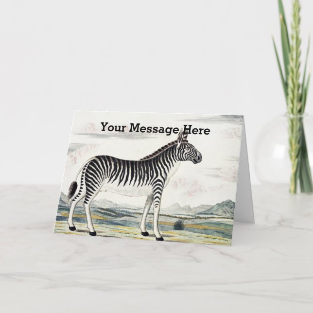 Zebra Africa Stripe Animal Zeichnend Illustration Karte (Vorderseite)