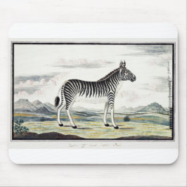 Zebra Africa Stripe Animal Zeichnend Illustration Mousepad