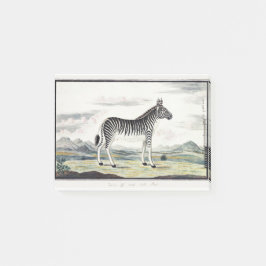 Zebra Africa Stripe Animal Zeichnend Illustration Post-it Klebezettel