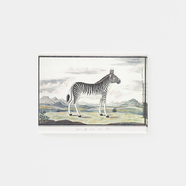 Zebra Africa Stripe Animal Zeichnend Illustration Post-it Klebezettel (Vorderseite)
