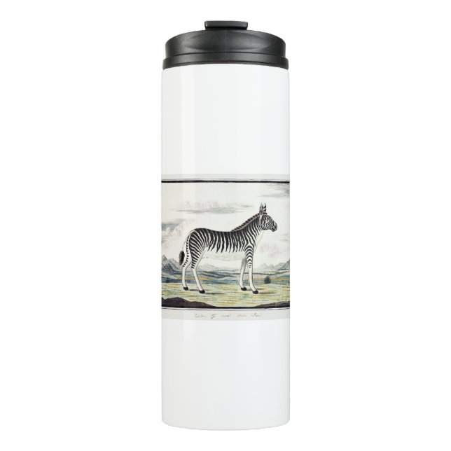 Zebra Africa Stripe Animal Zeichnend Illustration Thermosbecher (Vorderseite)