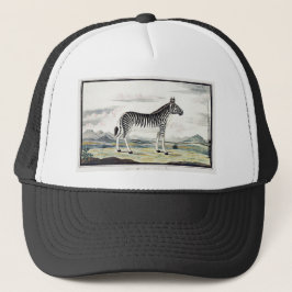Zebra Africa Stripe Animal Zeichnend Illustration Truckerkappe