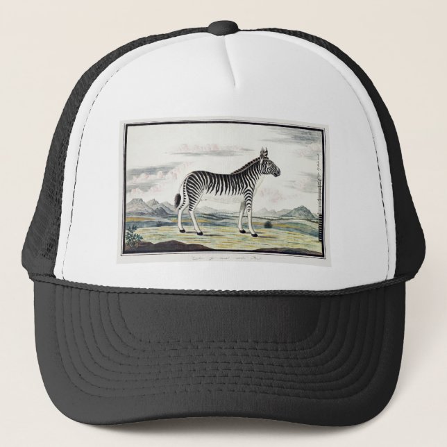 Zebra Africa Stripe Animal Zeichnend Illustration Truckerkappe (Vorderseite)