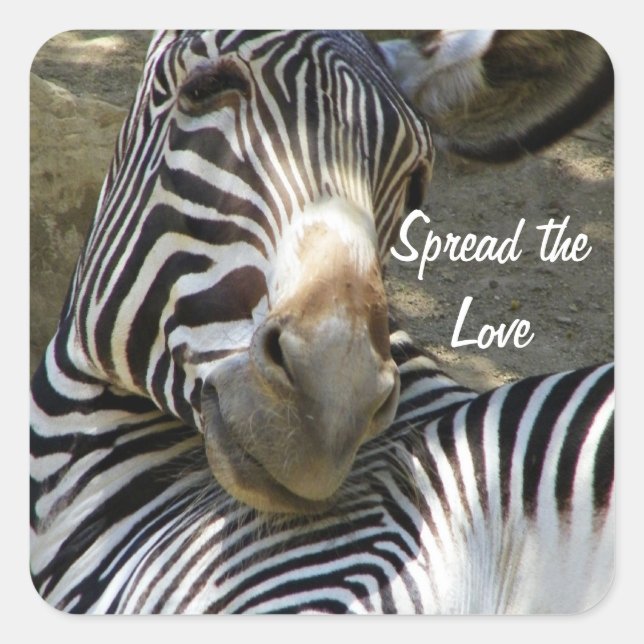 Zebra, alle Fälle_ Quadratischer Aufkleber (Vorderseite)