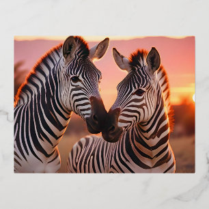 Zebra Animal Nature Zuneigung Gekümmert Folien Feiertagspostkarte