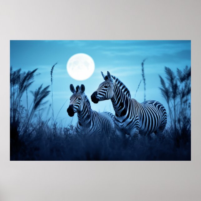 Zebra Animal Wildlife Wilder Wilde Poster (Vorne)