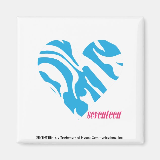 Zebra Aqua 2 Magnet (Vorne)