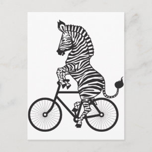 Zebra auf dem Bike Postkarte