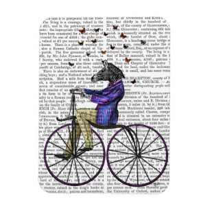 Zebra auf Fahrrad Magnet