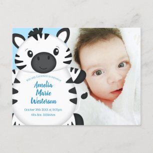 Zebra Baby Shower Blue Postkarte