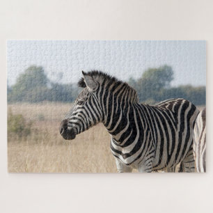 Zebra bei der Safari Puzzle