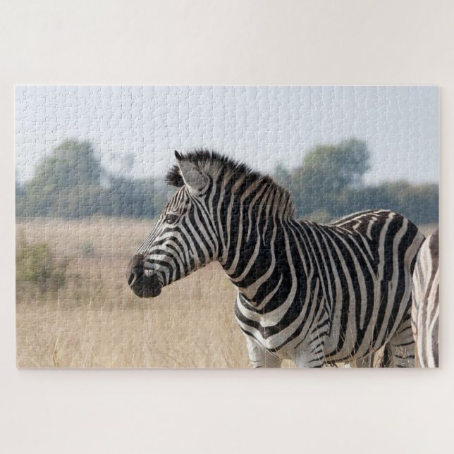 Zebra bei der Safari Puzzle (Horizontal)
