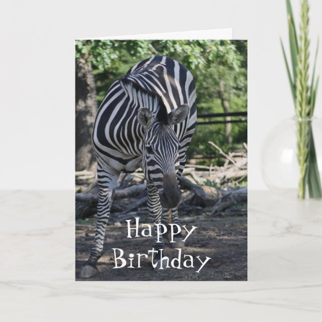 Zebra Birthday Card Karte (Vorderseite)