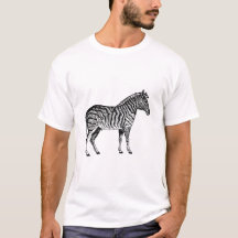 Zebra Black and White Illustration