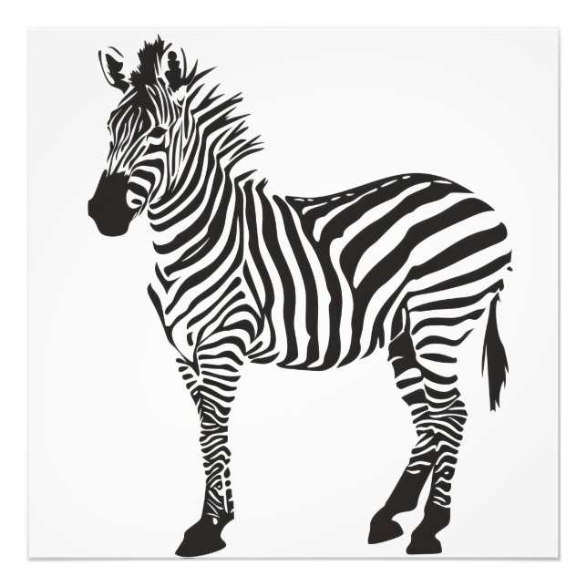 Zebra Black and White Minimalism Fotodruck (Vorne)