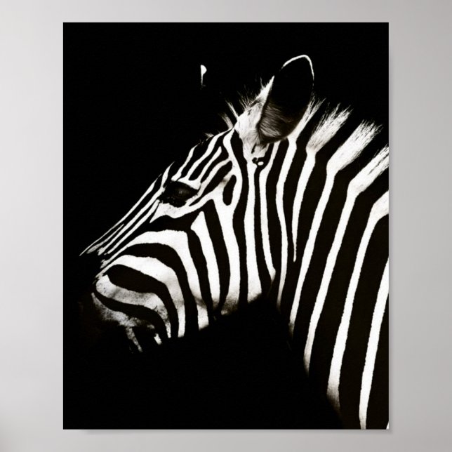 Zebra Black and White Stripes Animal Poster (Vorne)