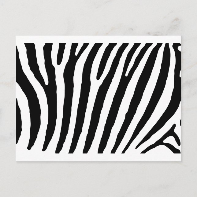 Zebra Black & White Lines Postkarte (Vorderseite)