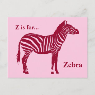 Zebra - Burgund und Rosa Postkarte