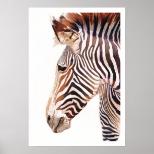 "Zebra Bust" Zebra Wildlife Watercolor Poster