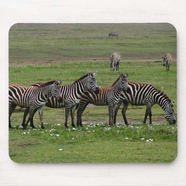 Zebra Clan Mousepad (Vorne)
