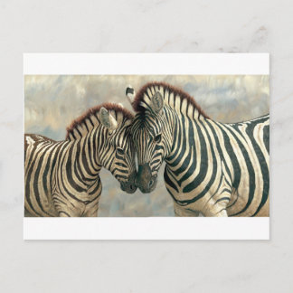 zebra-clip-art-3 postkarte