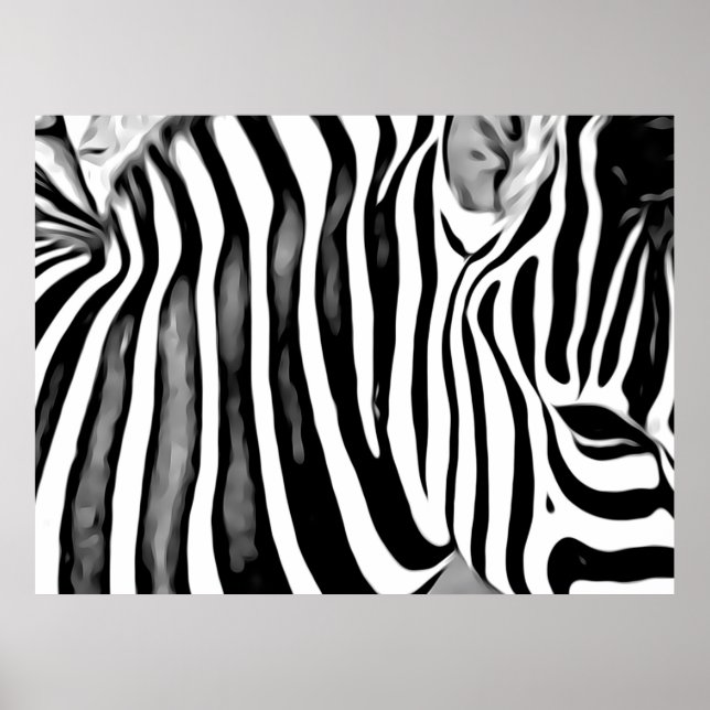 Zebra close up    poster (Vorne)