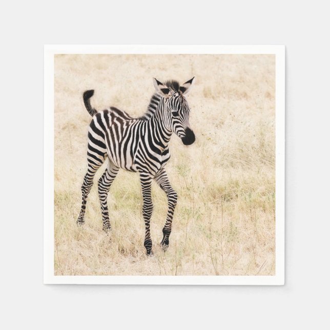Zebra Colt Serviette (Vorderseite)
