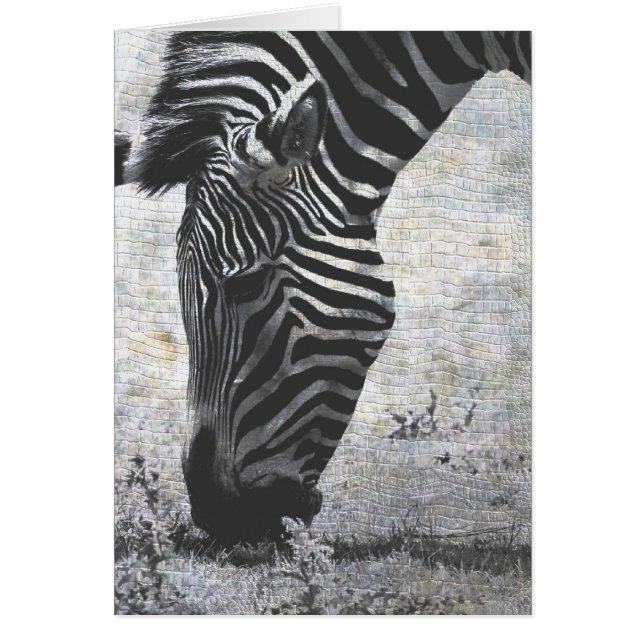 Zebra Crackle (Vorne)