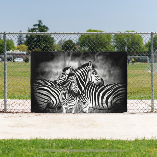 Zebra-Dazzle Banner (InSitu)