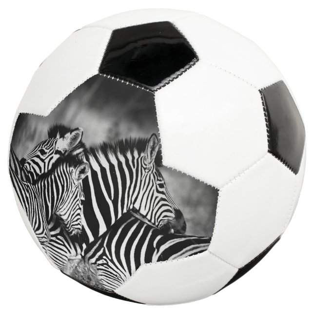 Zebra-Dazzle Fußball (Dreiviertel)