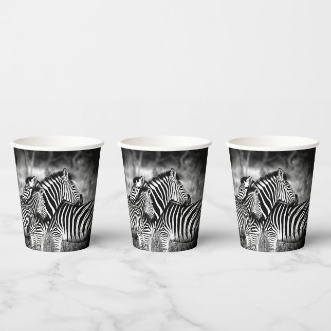 Zebra-Dazzle Pappbecher (Multi)