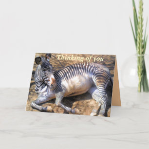 Zebra der Liebe_ Karte