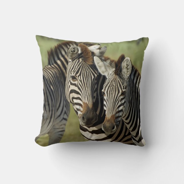 ZEBRA DOUBLE BILD KISSEN (Vorderseite)