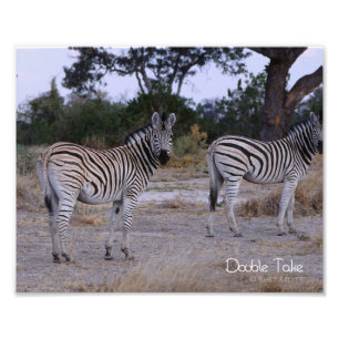 Zebra Double Take Foto