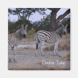 Zebra Double Take Foto Magnet