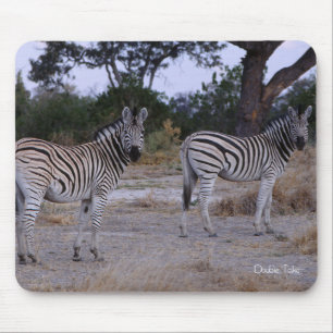 Zebra Double Take Foto Mousepad