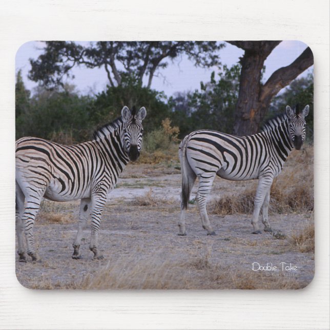 Zebra Double Take Foto Mousepad (Vorne)