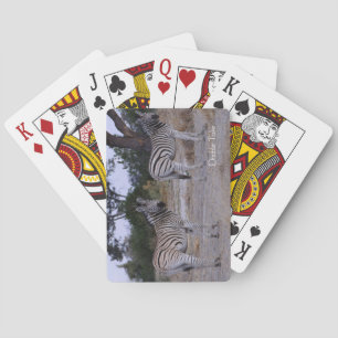 Zebra Double Take Foto Spielkarten
