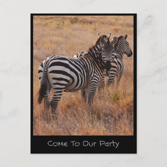 Zebra Einladung Postkarte (Vorderseite)