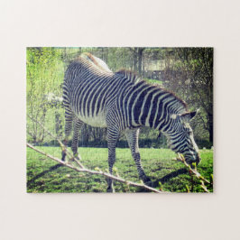 Zebra Entspannung der Selbstversorgung Puzzle