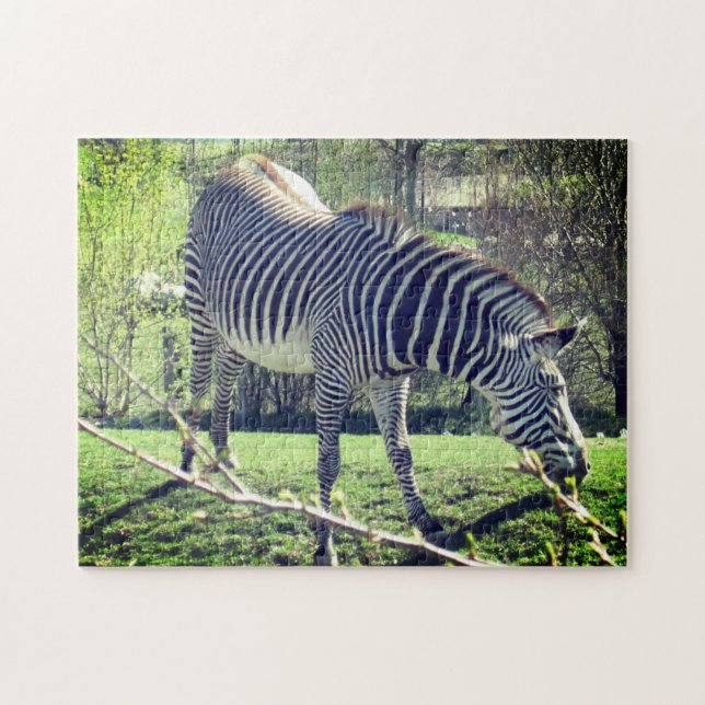 Zebra Entspannung der Selbstversorgung Puzzle (Horizontal)