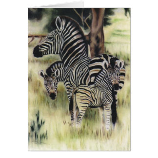"Zebra-Familie "