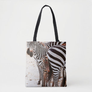 ZEBRA FAMILY
