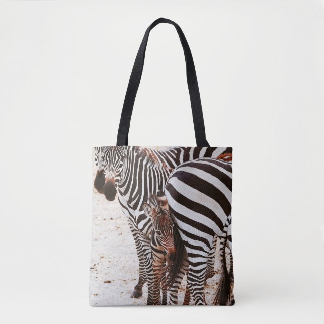 ZEBRA FAMILY (Vorderseite)
