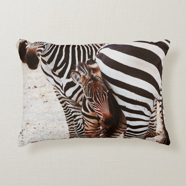 ZEBRA FAMILY DEKOKISSEN (Vorderseite)